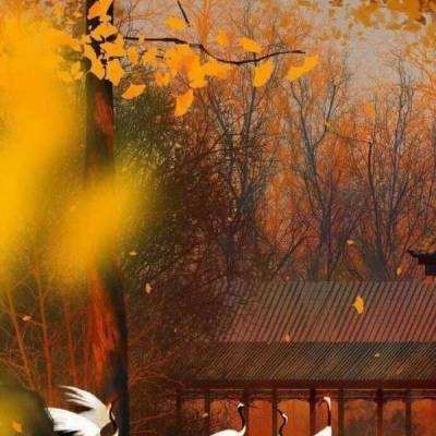 军师何在官方版下载