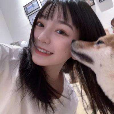 朝歌之天命所归手游